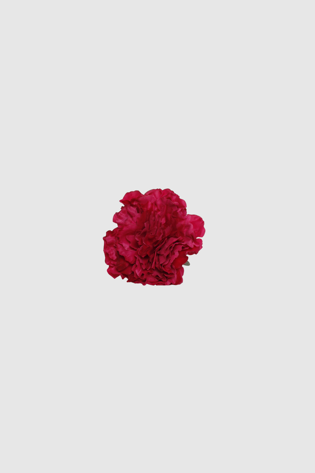 FLOR FLAMENCA