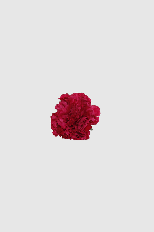 FLOR FLAMENCA