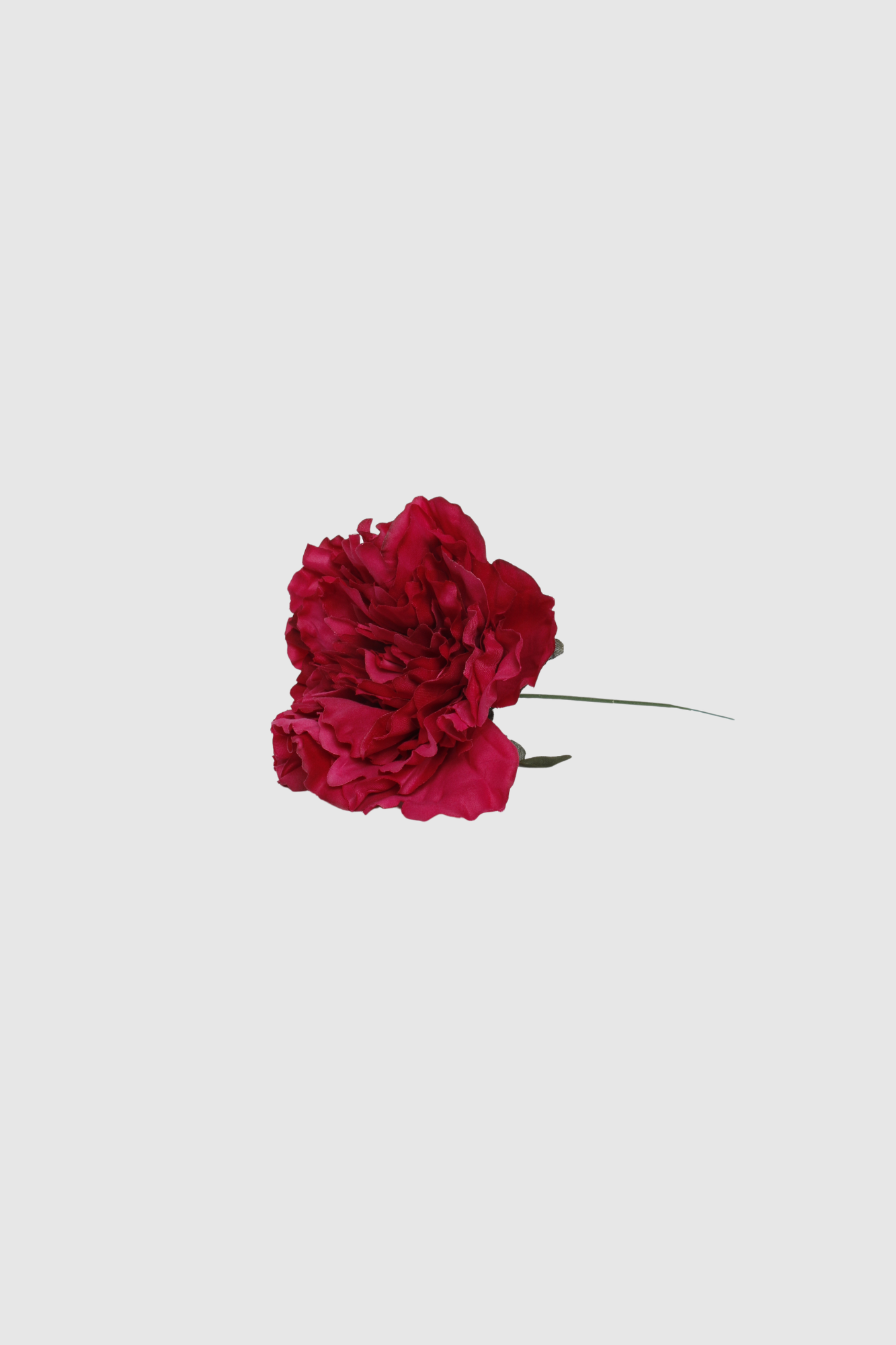 FLOR FLAMENCA