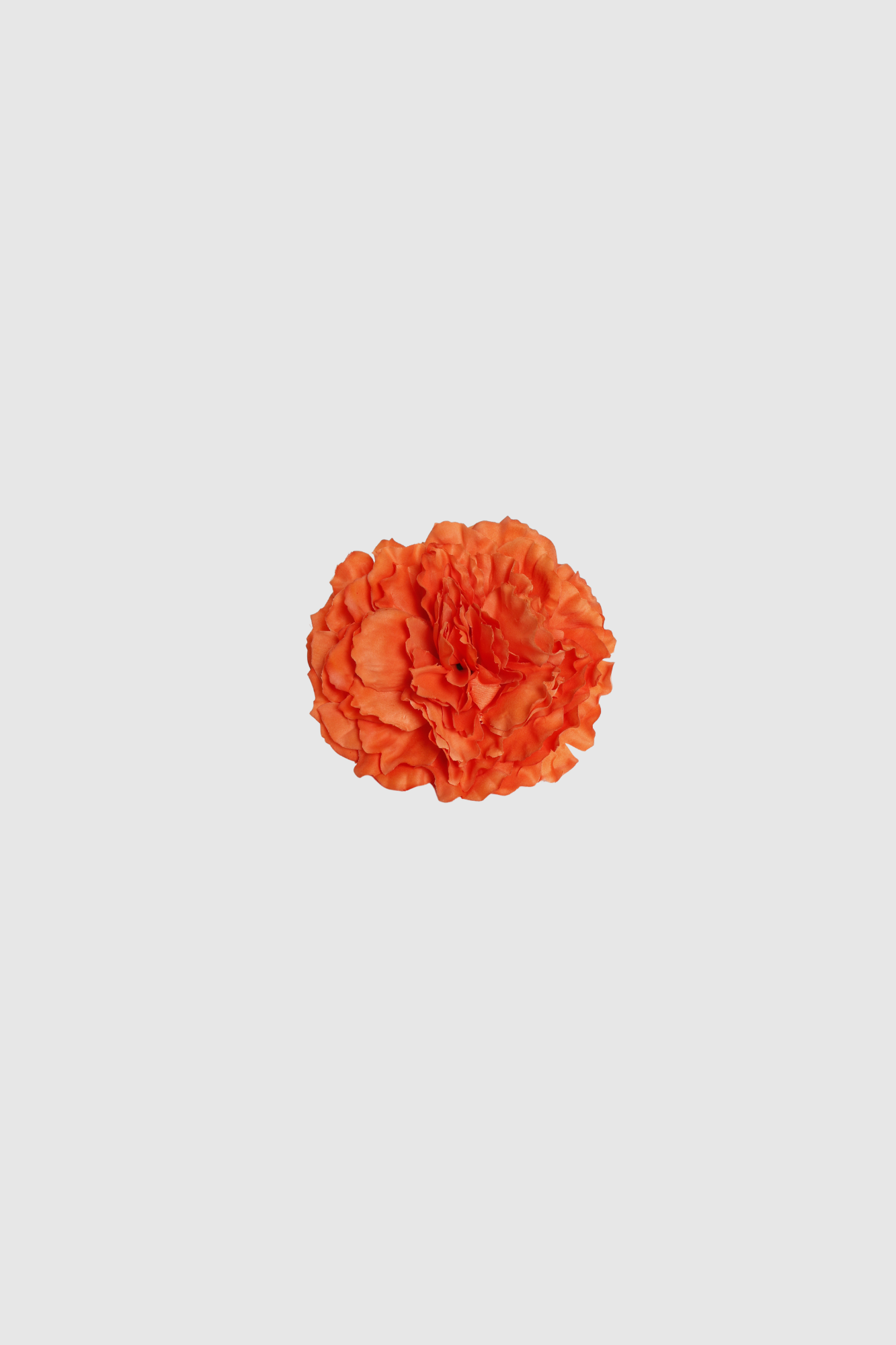 FLOR FLAMENCA