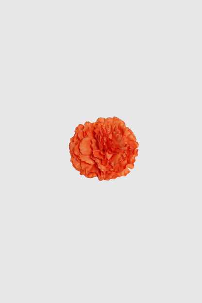 FLOR FLAMENCA