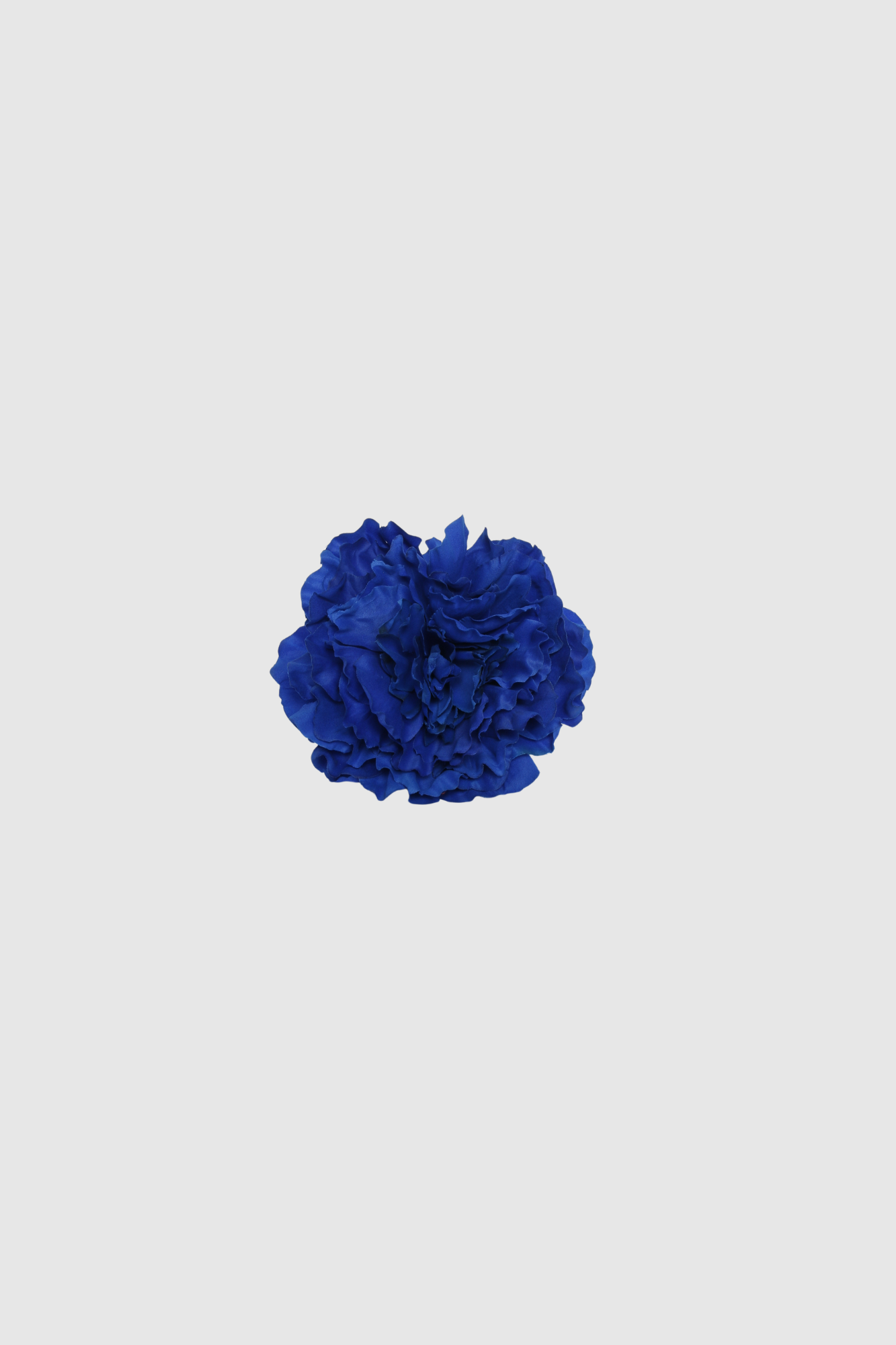 FLOR FLAMENCA