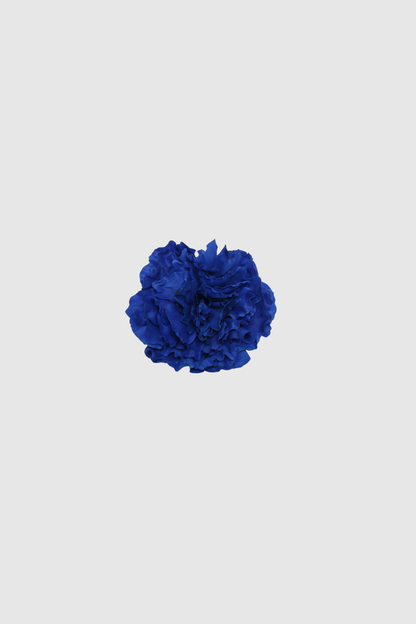 FLOR FLAMENCA