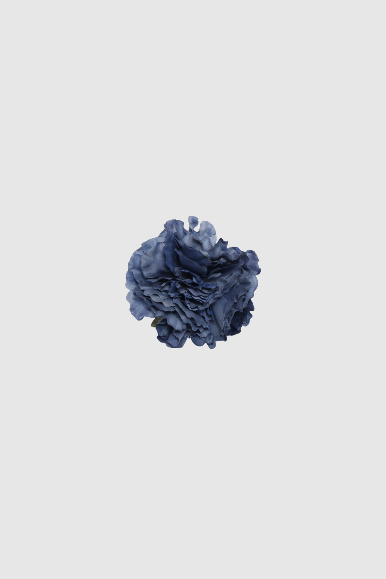 FLOR FLAMENCA