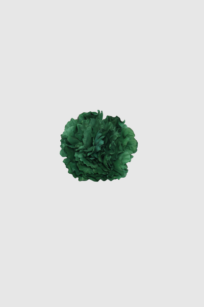 FLOR FLAMENCA