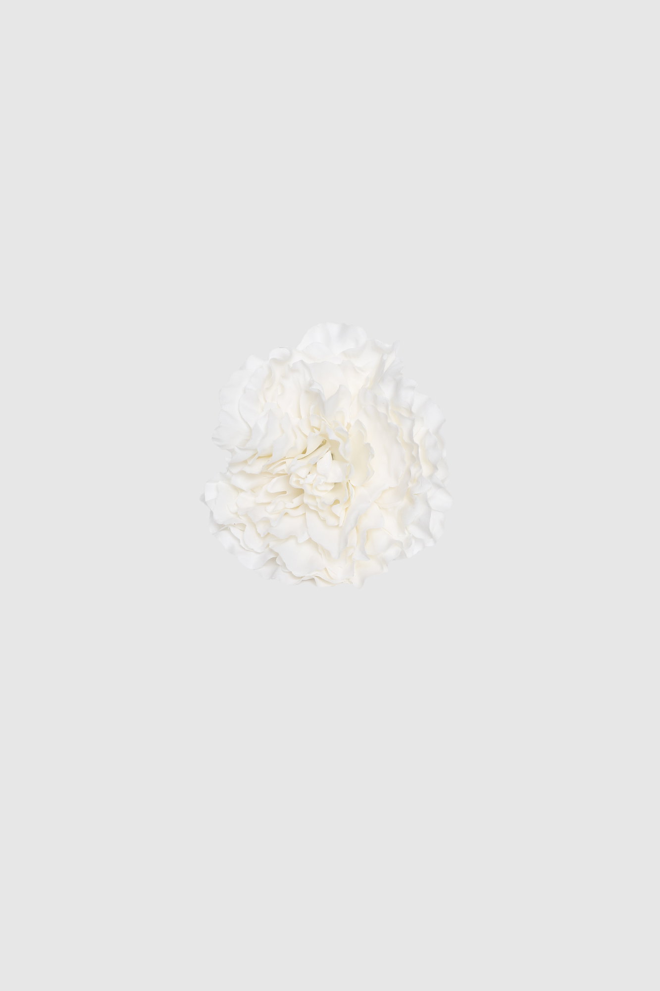 FLOR FLAMENCA