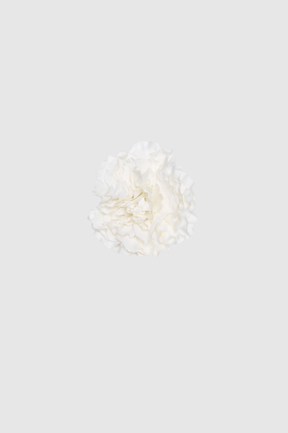 FLOR FLAMENCA