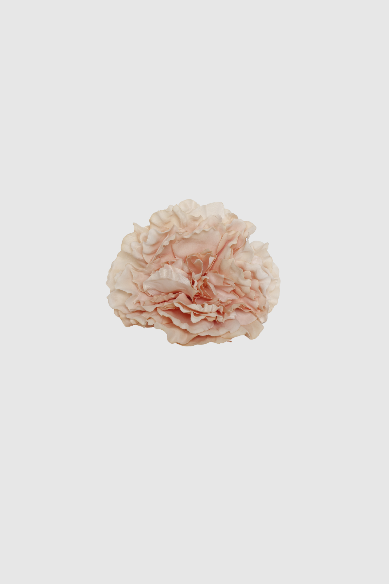 FLOR FLAMENCA