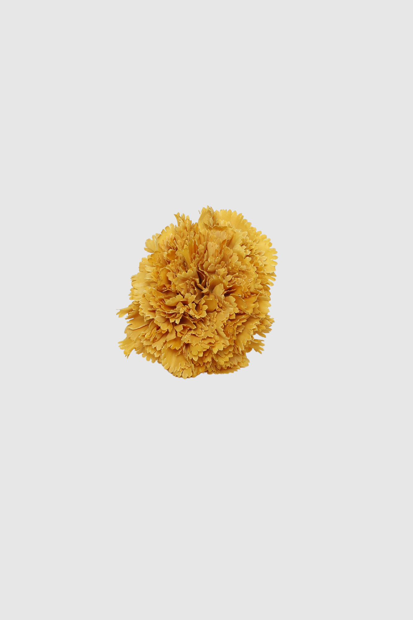 FLOR FLAMENCA