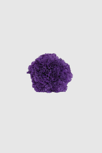 FLOR FLAMENCA