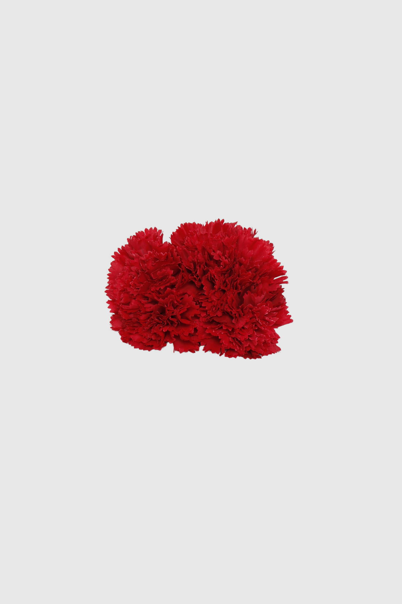 FLOR FLAMENCA