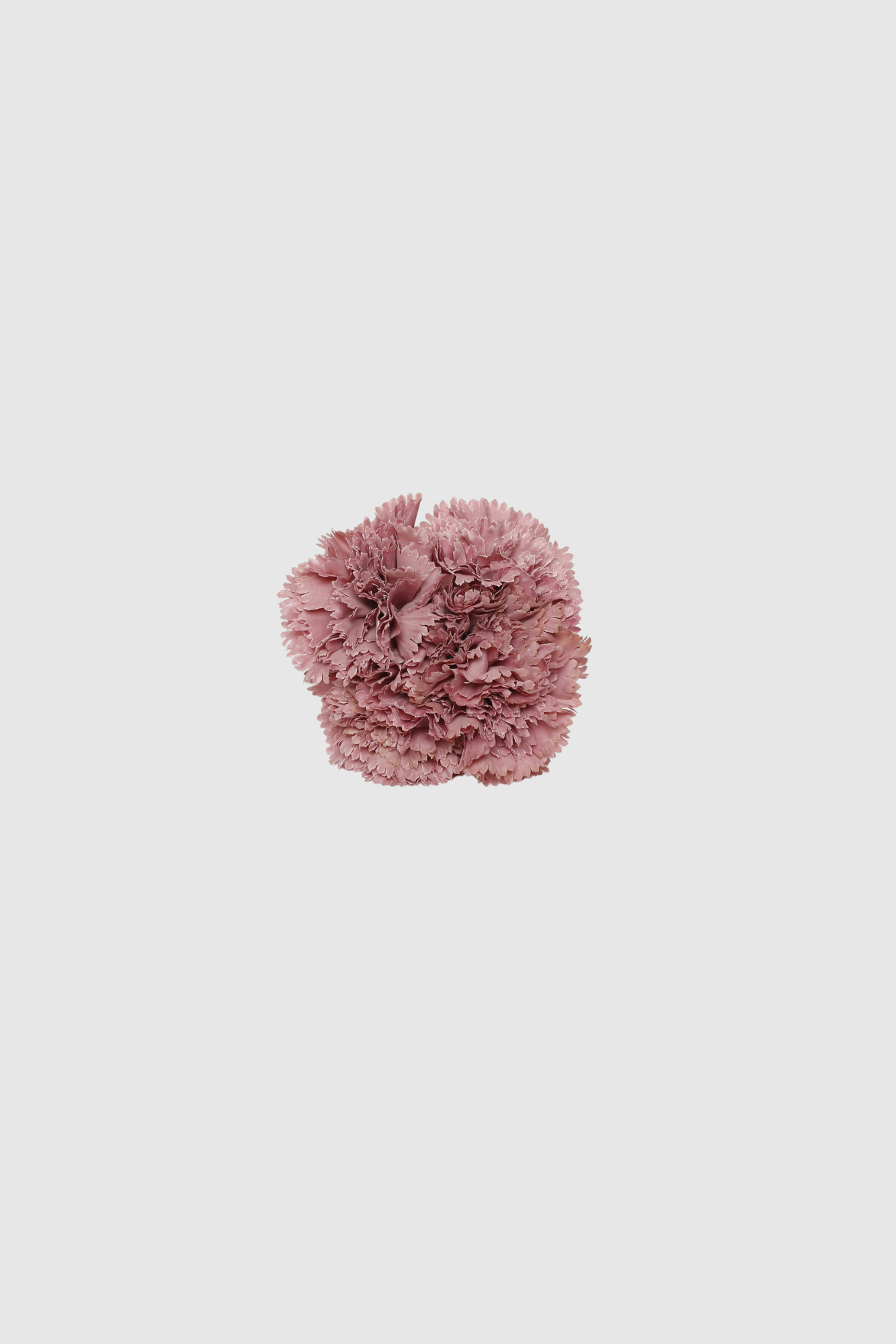 FLOR FLAMENCA