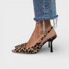 Leopardo
